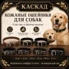 Ошейник Каскад кожаный щенячий для собак, 35 мм, 36–64 см, чёрный