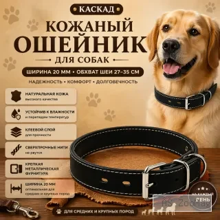 Каскад кожаный ошейник для собак 20 мм, 27–35 см из натуральной кожи