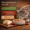 Паштет для кошек с курицей и брусникой влажный корм супер-премиум 100 г