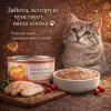 Паштет для кошек с курицей и брусникой влажный корм супер-премиум 100 г