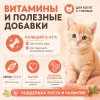 Мнямс Delicatesse паштет для котят курица с брокколи влажный корм 100 г