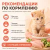 Мнямс Delicatesse паштет для котят курица с брокколи влажный корм 100 г