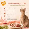 Мнямс Delicatesse Паштет по-голландски с курицей и брусникой для кошек, 100 г