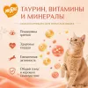 Мнямс Delicatesse Паштет по-голландски с курицей и брусникой для кошек, 100 г
