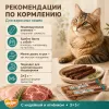 Мнямс лакомые палочки с индейкой и ягнёнком для кошек, 10 х 5 г