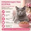 Мнямс На каждый день влажный корм с индейкой для кошек старше 7 лет, 85 г