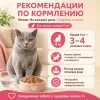 Мнямс На каждый день влажный корм с индейкой для кошек старше 7 лет, 85 г
