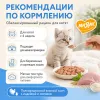 Мнямс влажный корм для котят индейка с молоком прикорм с 4 недель 85 г