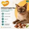 Мнямс «Здоровая кожа и шерсть» хрустящие подушечки для кошек с птицей, 60 г