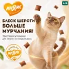 Мнямс «Здоровая кожа и шерсть» хрустящие подушечки для кошек с птицей, 60 г