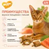 Мнямс «Здоровье и красота» хрустящие подушечки для кошек с лососем, 60 г