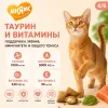 Мнямс «Здоровье и красота» хрустящие подушечки для кошек с лососем, 60 г
