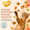 Мнямс «Здоровье и красота» хрустящие подушечки для кошек с лососем, 60 г