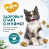 Мнямс «Здоровый котёнок» хрустящие подушечки для котят с цыплёнком и яйцом, 60 г