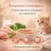 Мнямс Delicatesse паштет для котят курица с брокколи влажный корм 100 г