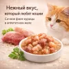 Мнямс Delicatesse влажный корм для кошек курица с говядиной в желе супер-премиум 70 г