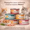 Мнямс Delicatesse влажный корм для кошек курица с говядиной в желе супер-премиум 70 г