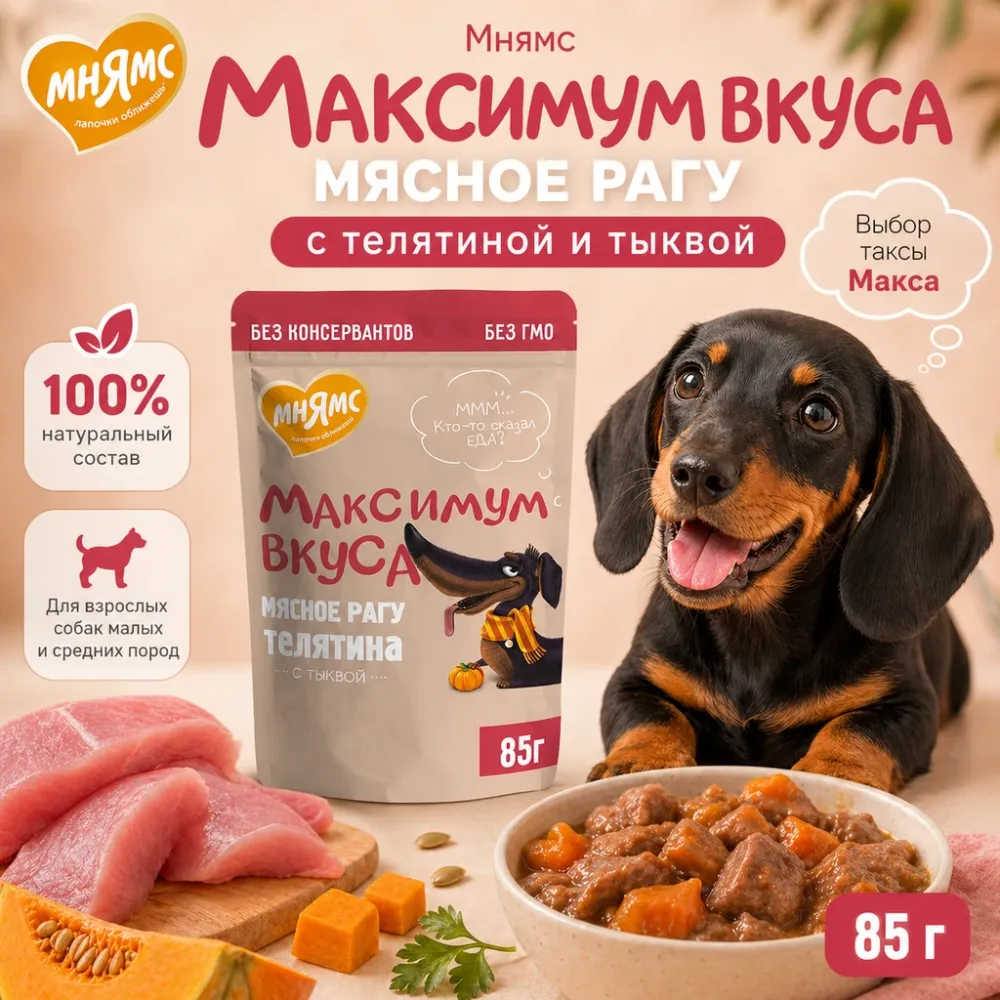 Мнямс Максимум Вкуса мясное рагу с телятиной и тыквой для собак, 85 г