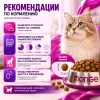 Monge Superpremium Adult Cat Salmon сухой корм для взрослых кошек с лососем, 10 кг