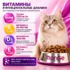 Monge Superpremium Adult Cat Salmon сухой корм для взрослых кошек с лососем, 10 кг