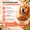 Monge Dog Grill корм для собак с лососем кусочки в соусе беззерновой влажный 100 г