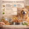 Monge Dog Grill корм для собак с курицей и индейкой кусочки в соусе беззерновой 100 г