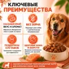 Monge Dog Grill корм для собак с лососем кусочки в соусе беззерновой влажный 100 г