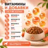 Monge Dog Grill корм для собак с лососем кусочки в соусе беззерновой влажный 100 г