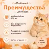 Mr.Kranch Тыква керамическая миска персиковая для кошек, 200 мл