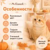 Mr.Kranch Тыква керамическая миска персиковая для кошек, 200 мл
