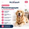 Mr.Kranch Собачка игрушка для собак с канатиками и пищалкой, 22 см