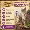 Natural Greatness Cat Wild Inspired сухой беззерновой корм для кошек с курицей и индейкой, 600 г