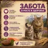 Natural Greatness Cat Wild Inspired сухой беззерновой корм для кошек с курицей и индейкой, 600 г
