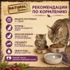 Natural Greatness Cat Wild Inspired сухой беззерновой корм для кошек с курицей и индейкой, 600 г