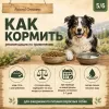 Natural Greatness Lamb Recipe Sensitive сухой корм для взрослых собак с чувствительным пищеварением с ягнёнком, 2 кг