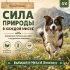 Natural Greatness Lamb Recipe Sensitive сухой корм для взрослых собак с чувствительным пищеварением с ягнёнком, 2 кг