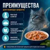 Ночной Охотник Hairball пауч для кошек с ягнёнком и курицей в соусе, 85 г