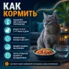 Ночной Охотник Hairball пауч для кошек с ягнёнком и курицей в соусе, 85 г