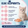 Ночной Охотник Kitten пауч для котят с индейкой и лососем в желе, 85 г