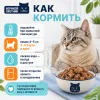 Ночной Охотник пауч для кошек Мясное ассорти в соусе, 85 г