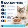 Ночной Охотник Sensitive пауч для кошек с индейкой и морковью в соусе, 85 г