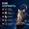 Ночной Охотник пауч для стерилизованных кошек с индейкой в желе, 85 г