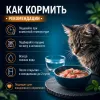 Ночной Охотник пауч для стерилизованных кошек с кроликом и сердцем в соусе, 85 г