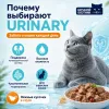Ночной Охотник Urinary пауч для кошек с телятиной и ягнёнком в соусе, 85 г