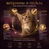 Влажный корм Kонсервы NUEVO для котят с курицей, рисом и лососевым жиром 200 г