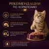 Влажный корм Kонсервы NUEVO для котят с курицей, рисом и лососевым жиром 200 г