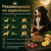 Nuevo Adult влажный корм с ягнёнком и картофелем для взрослых собак, 800 г