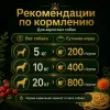 Nuevo Adult влажный корм с олениной и брусникой для взрослых собак, 400 г