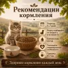 Oak's Farm Grain Free Kitten Salmon сухой беззерновой корм с лососем для котят, 400 г