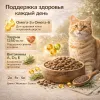 OAK'S FARM сухой беззерновой корм с лососем для взрослых кошек, супер-премиум, 400 г